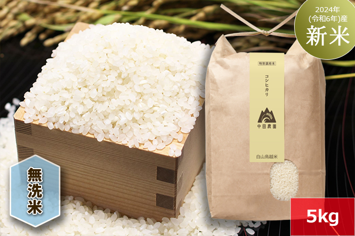 【無洗米】白山鳥越米『コシヒカリ』5kg　2024年（令和6年）産「新米」