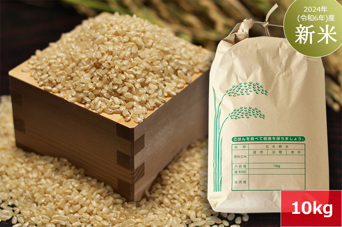 【玄米】白山鳥越米『コシヒカリ』10kg　2024年（令和6年）産「新米」