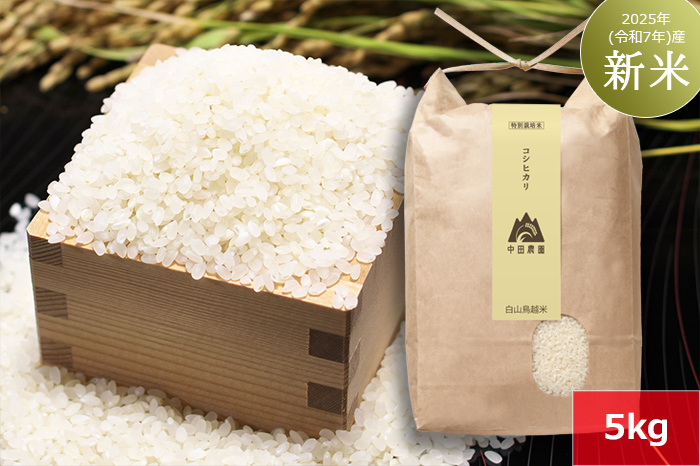 白山鳥越米『コシヒカリ』5kg　2025年（令和7年）産「新米」