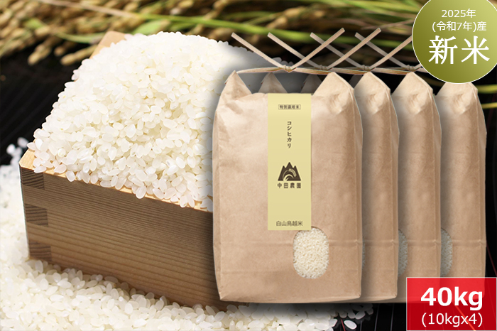 白山鳥越米『コシヒカリ』40kg（10kg×4）　2025年（令和7年）産「新米」