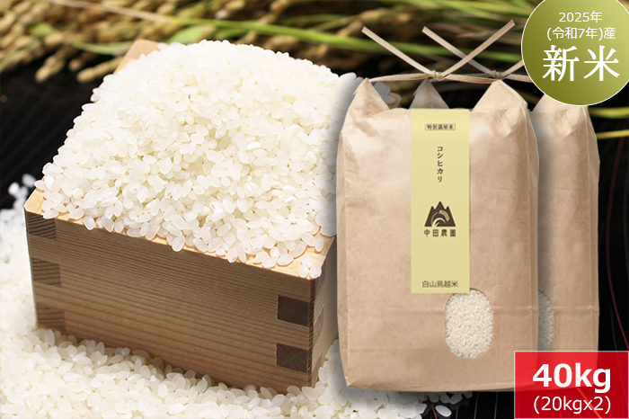 白山鳥越米『コシヒカリ』40kg（20kg×2）　2025年（令和7年）産「新米」