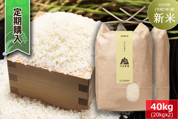 【定期購入】白山鳥越米『コシヒカリ』40kg（20kg×2）　2025年（令和7年）産「新米」