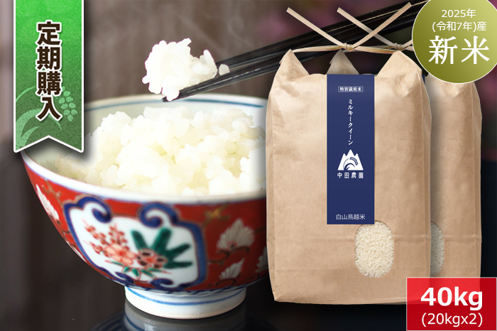 【定期購入】白山鳥越米『ミルキークイーン』40kg（20kg×2）　2025年（令和7年）産「新米」